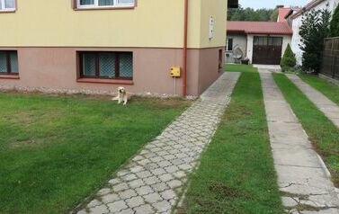 Dzień Zwierząt 11
