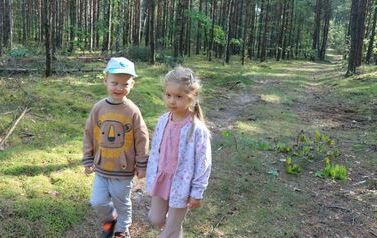 Grzybobranie 14