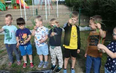 zbiory z ogrodu warzywnego