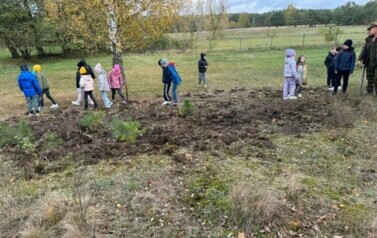 3b-las5