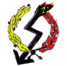 logo-Pioruna-1