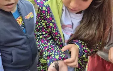 Klasa 1b odkrywa tajemnice lasu 3