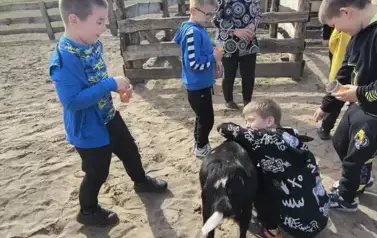 Przytulasy  z kozą