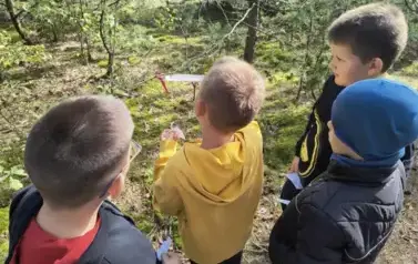 Chłopcy rozwiązują leśne zagadki