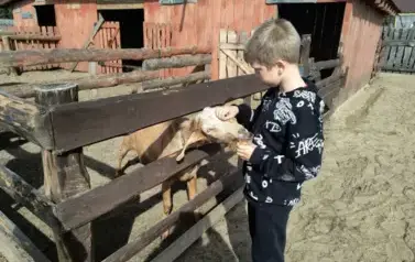 Karmienie k&oacute;z