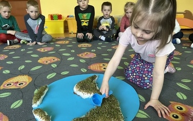 Dbamy o rośliny na naszej planecie