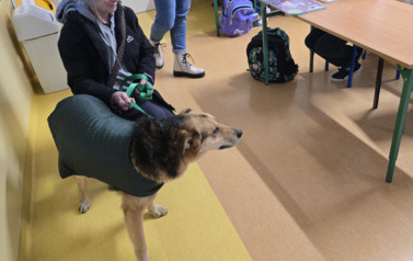 Spotkanie ze Schroniskiem dla Bezdomnych Zwierząt &bdquo;Canis&rdquo; 1