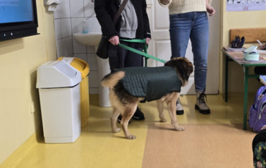 Spotkanie ze Schroniskiem dla Bezdomnych Zwierząt &bdquo;Canis&rdquo; 2