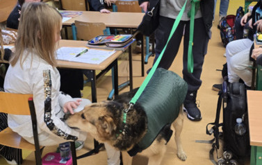 Spotkanie ze Schroniskiem dla Bezdomnych Zwierząt &bdquo;Canis&rdquo; 5