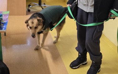 Spotkanie ze Schroniskiem dla Bezdomnych Zwierząt &bdquo;Canis&rdquo; 9