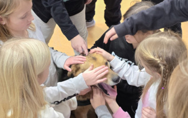 Spotkanie ze Schroniskiem dla Bezdomnych Zwierząt &bdquo;Canis&rdquo; 12