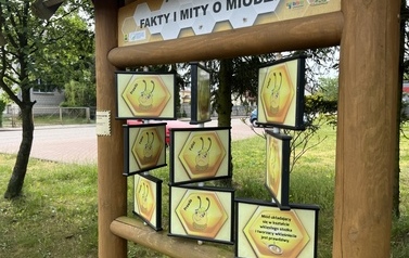 Ciekawostki z życia pszcz&oacute;ł