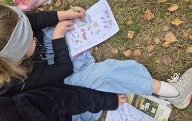 Klasa IIb w terenie: Warstwy lasu w kartach pracy 1