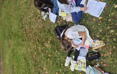 Klasa IIb w terenie: Warstwy lasu w kartach pracy 3