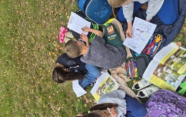 Klasa IIb w terenie: Warstwy lasu w kartach pracy 4