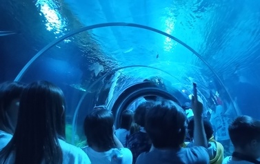 Orientarium w ł&oacute;dzkim ZOO.