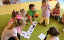 Światowy Dzień Zwierząt 8