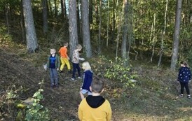 Zbieramy śmieci w lesie