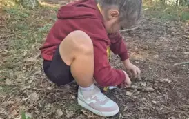 Leśne kodowanie z klasą 1B 2