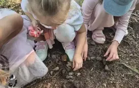 Leśne kodowanie z klasą 1B 4