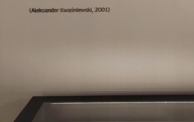 Z Lelisa do Brukseli - odkrywamy Europę 2