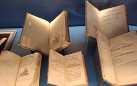 Z Lelisa do Brukseli - odkrywamy Europę 29