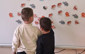Światowy Dzień Zwierząt 17