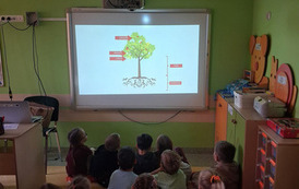 Dzień Drzewa 6