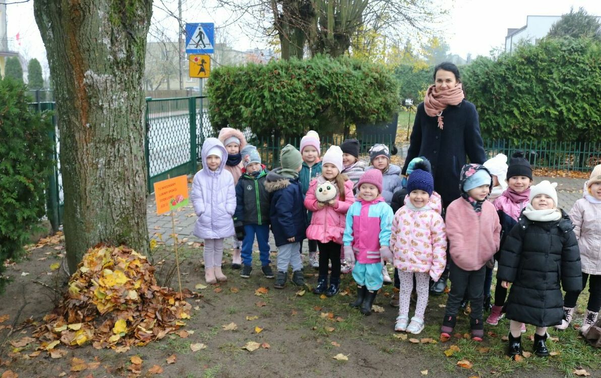 Zdjęcie do Dzień Jeża