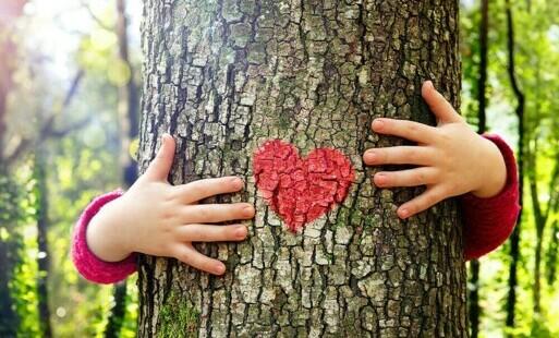 Zdjęcie do Przytul się do drzewa - Edycja III
