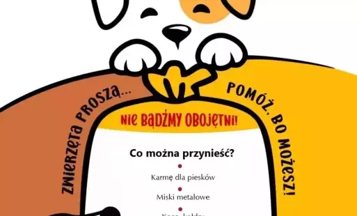 Zdjęcie do Akcja charytatywna na rzecz schroniska dla zwierząt w Kruszewie
