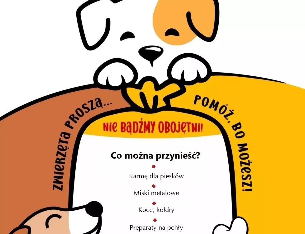 Zdjęcie do Akcja charytatywna na rzecz schroniska dla zwierząt w Kruszewie